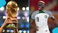 Nigeria set up World Cup play-off final clash after victory over Gabon