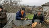 War-weary Ukraine residents chop wood to 'survive' winter