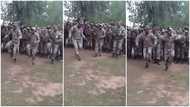 Strong soldiers in military uniform gather under tree, dance and shake bodies to native song in viral video