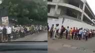 Man shouts in video as car is unable to find the end of long queue of army applicants