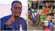 Agric Minister: Dr Owusu Afriyie Akoto reiterates government's plans to sell cheaper foodstuffs at ministry