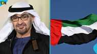 UAE lists document mistakes that could get foreigners arrested at entry points