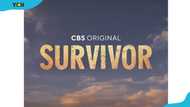 Top 20 best Survivor seasons ranked with no spoilers