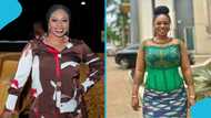 Adwoa Safo: Family spokesperson narrates what led to the shooting of former MP
