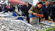 Turkey's inflation slows for third month ahead of election