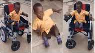 8-year-old boy who has never walked before receives electric wheelchair; emotional video, photos pop up