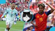 Psychic cat predicts Spain to beat Portugal in Round of 16 blockbuster