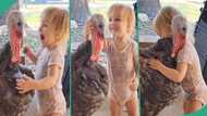 Baby plays with giant turkey, hugs it like human being, video goes viral: "It has home training"