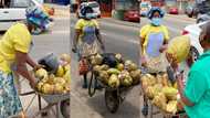 Rosemond Abena Nyamekye: Meet the Ghanaian woman earning a living from selling fresh coconuts