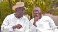 “Loyal” Bawumia has become like a son to me – Former Prez Kufour