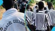 Adisco student assault: Africa Education Watch calls for new protocols to address such "criminal incidents"