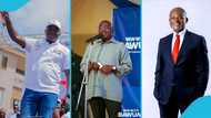 NPP loyalist offers in-depth analysis of party’s 2028 prospects