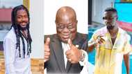 See how Akufo-Addo reacted to Samini and Sarkodie's endorsement