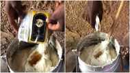 Video of Ghanaian man adding whisky to banku on fire heaps massive reactions