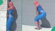 Lady in spiderman costume dances, her friend secretly captures her antics and posts it online