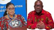 Nana Dokua, OB Amoah and 10 deputy ministers approved for Akufo-Addo's second term