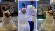 Plus-size Ghanaian bride slaying in a beaded lace goes viral as she performs Davido's unavailable dance challenge