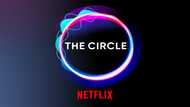 The Circle Netflix cast: Who are the season 3 cast and characters?