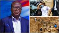 Aisha Huang trial: NPP’s Freddie Blay mounts strong defence, insists suspects are not guilty of illegal mining offences