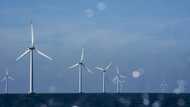 Danish wind giant Orsted to cut workforce by a quarter