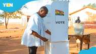 2024 Ghana Elections: Dr Bawumia casts his vote in the Walewale Constituency