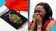 “I’m finished”: Travel agency's mishap triggers 5-year Canadian immigration ban for lady