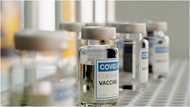 COVID Vaccines are expiring in Volta Region over refusal to take them - GHS