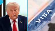 US revokes visas of 3 foreign nationals for fraud, publishes details