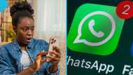 WhatsApp urges users to update app for 5 new features, including calls & videos