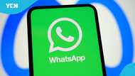 WhatsApp rolls out new features to improve multi-device experience