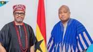 Okudzeto Ablakwa cautions self-acclaimed Igbo King: "Respect Ghana's laws and traditions"