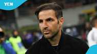 Cesc Fabregas now free to accept Chelsea manager role