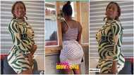 Celestine Etornam: 'Gob3' seller with curvy behind shakes body in viral video, men disappointed over her shy look
