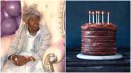 Black woman who worked as nurse attains 102 years old in US, all her birthday wishes fulfilled