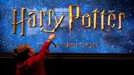 Reviewers rave for 'Hogwarts Legacy' video game despite backlash
