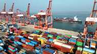 China says exports rise for first time in seven months