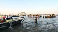 Italy's clam farmers fear blue crab 'invasion'