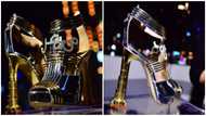 Viral photos of world's most expensive shoes worth GH¢140 million