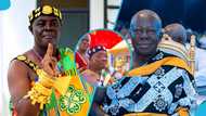 Dormahene warns Otumfuo: "You're a Paramount Chief, you can't install a Chief on another land”