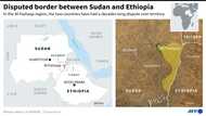 AU urges restraint over 'escalating' Ethiopia-Sudan tensions