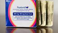 Pfizer profits dip on lower Paxlovid sales