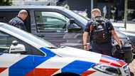 Jewel thieves in brazen Dutch art fair heist