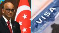 Singapore explains how long it takes to process foreigners' short-term visitor visas
