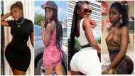 She no need to do too much: Hajia Bintu gets fans as video comparing her and Kelly Bhadie lands in Nigeria