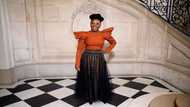 Nigerian writer Chimamanda Ngozi Adichie bio, family, controversy, books and facts