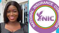 NIC records sharp drop in fake insurance sticker issuance in Western Region for Q1 2025