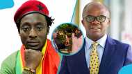 Ralph St Williams clashes with Stephen Amoah again at Parliament, video stirs reactions