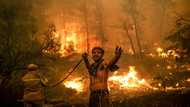 UN 'survival guide' report a stark warning on climate