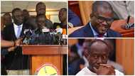 Charles Adu Boahen: Majority caucus welcomes sack of minister; reiterates its demands for Ken Ofori-Atta also to follow suit