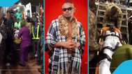 Musician Israhim causes confusion as he mounts the stage on a stretcher from an ambulance at Tamale concert